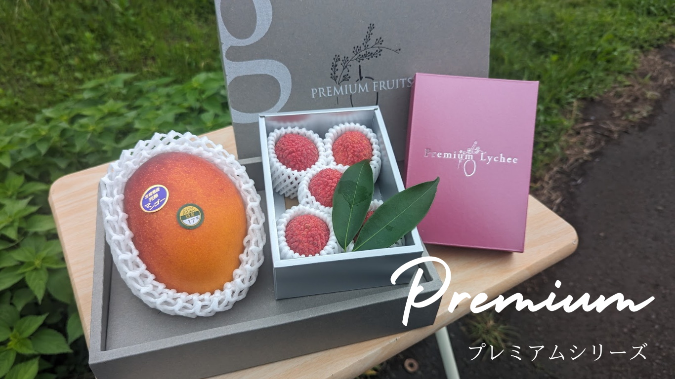画像の説明