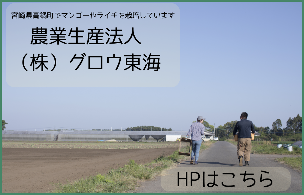 画像の説明
