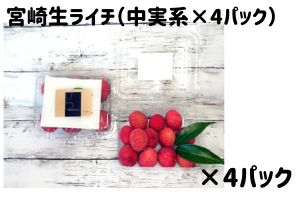 画像の説明