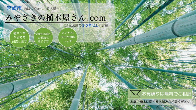 画像の説明